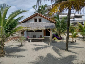 Beach Front Bungalows at the Coconut